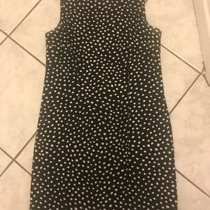 Polka Dot Dress